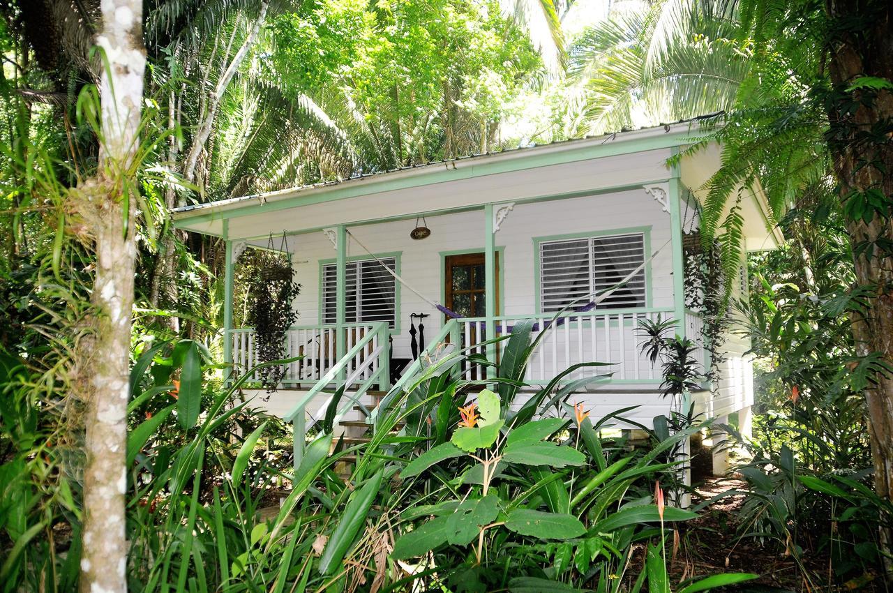Hickatee Cottages, Belize, Central America Punta Gorda Exterior foto